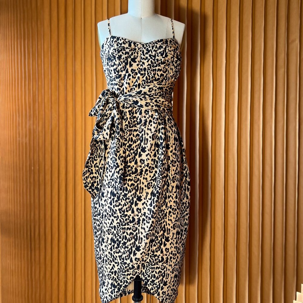 Stunning Leopard Print Pure Silk Dress – J.CREW